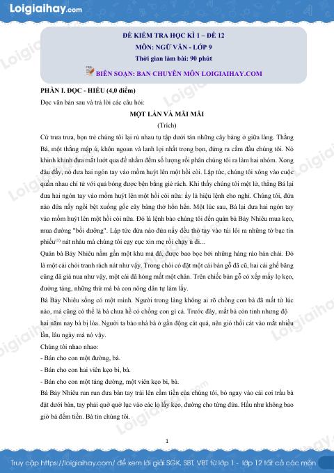 Đề thi học kì 1 Văn 9 - Đề số 12